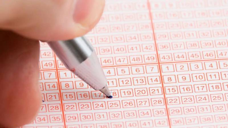 Chia vốn thông minh khi nuôi